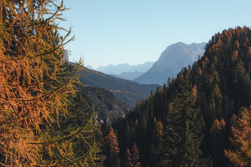 no people, fog, daytime, land, plant, cloud, trees, view, 27mm, growth, nature, leaves, autumn, tree, non-urban scene, pine, forest, scenics - nature, green