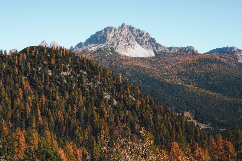 landscape, environment, plant, day, nature, beauty in nature, wooden, tranquility, autumn, tree, mountain peak, pine tree, brow, no people, near, 4K, walk