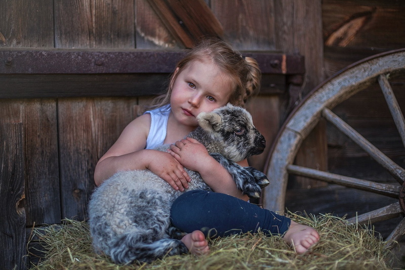 Child, Goat, Photography, Girl, Cute, Baby Animal, 1080P, Little Girl