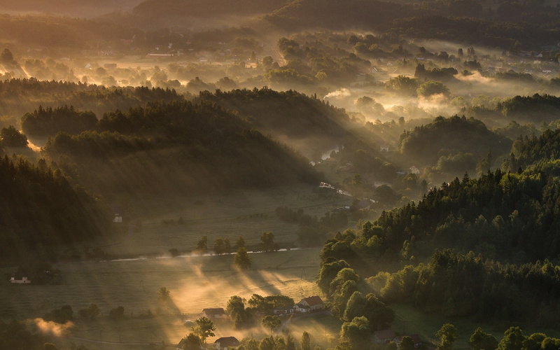 nature, scenics - nature, trees, idyllic, forest, village, sky, tranquility, landscape, land, 1080P, sunset, sunlight, sunbeams, plant, no people, tree
