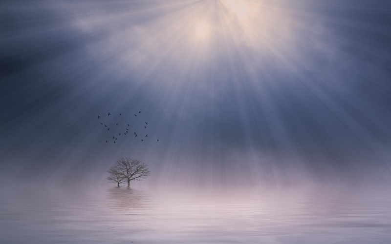 lake, landscape, flying, sunbeams, atmosphere, birds, mist, trees, sun rays, nature, morning, calm, 1080P