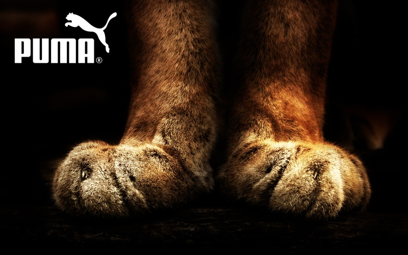 puma, brand, clothes, poster, background, logo, advertising, company, 1080P