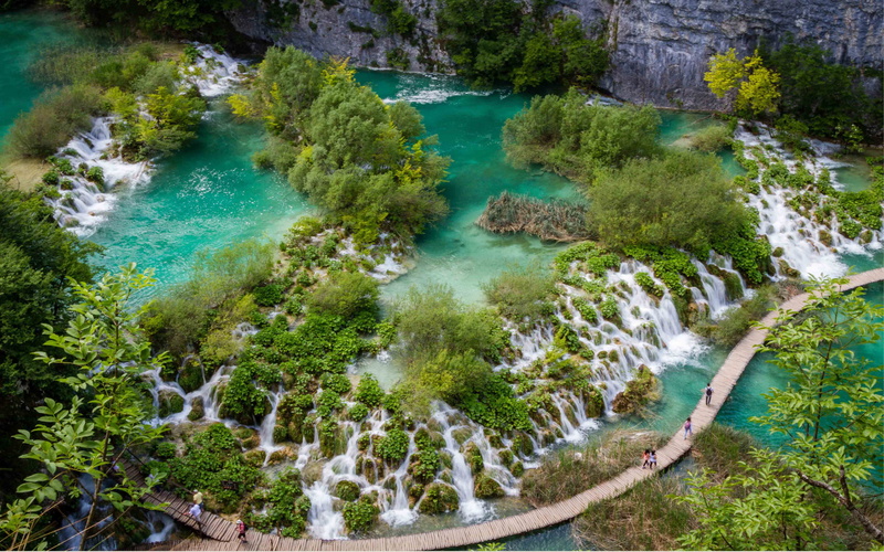 flowing, growth, day, tree, 5K, plitvice, tranquility, waterfall, croatia, lakes, nature, no people, scenics - nature, plant, turquoise colored, park