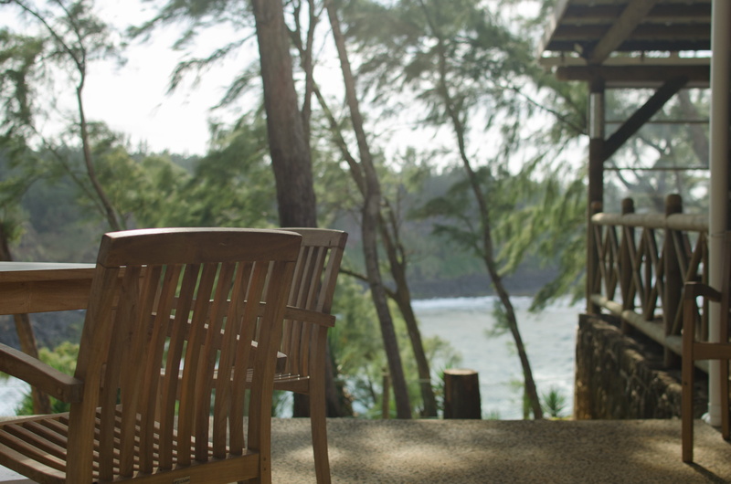 porch, wallapaper, empty, wood, mauritius, 4K, tree trunk, furniture, ocean, nature, tree, andrea lodges, setting, table, absence, wood - material, trees