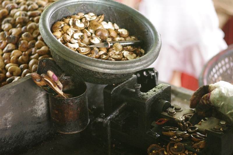 nutshell, vietnam, delicious, food and drink, machine, cashew, peeled, container, focus on foreground, day, selective focus, 2K, close-up, food, still life
