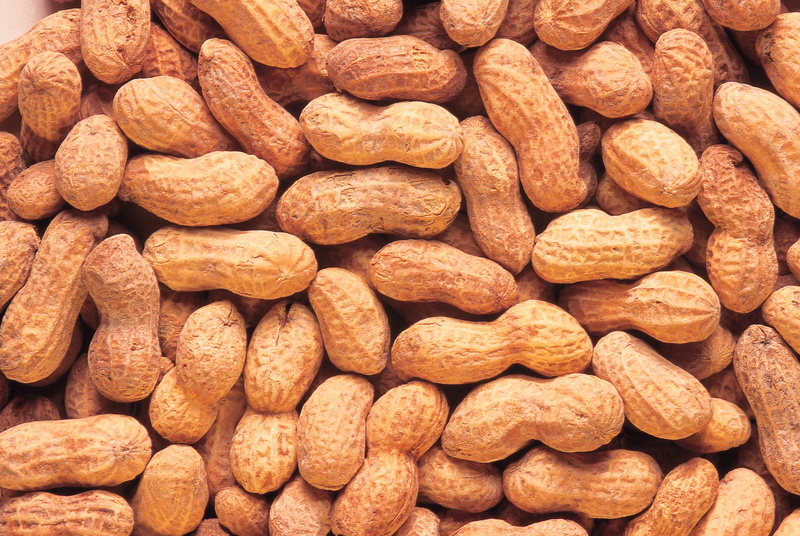 refreshment, wellbeing, large group of objects, dieting, nut - Food, seed, fruit, no people, backgrounds, peanuts, nutshell, retail, full frame, organic