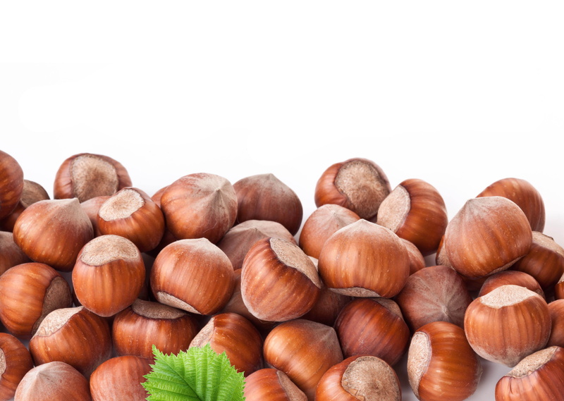 snack, nut, vegetarian Food, copy space, season, raw Food, isolated, studio Shot, nutshell, autumn, group of Objects, seed, nature, hazelnut, chestnut - food