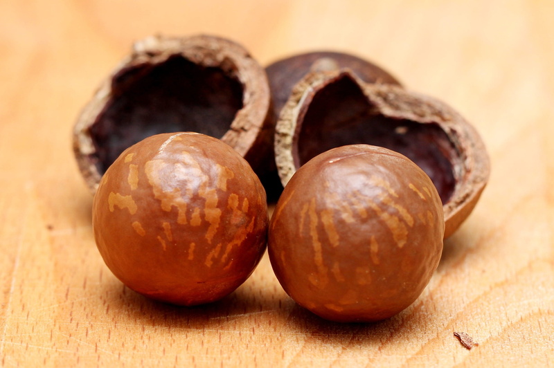 round, nuts, brown, food and drink, close-up, kernel, no people, close, macadamia, crunch, filbert, nutshell, freshness, simplicity, background, nutrition