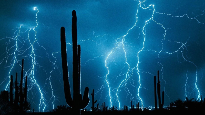 1080P, night, cactus, lightning, silhouette, sky, night sky