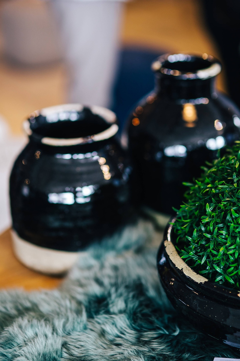 black color, green color, herb, food and drink, Green plant, pot, plant, crockery, green, cyan, wood - material, soft, container, rug, aromatherapy, ceramic