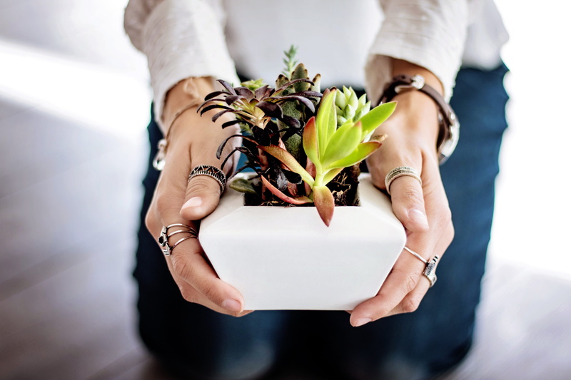 elegance, nature, hand, female, close-up, potted, pot, green, person, adult, girl, human body part, one person, human hand, white, model, 5K, flower, people