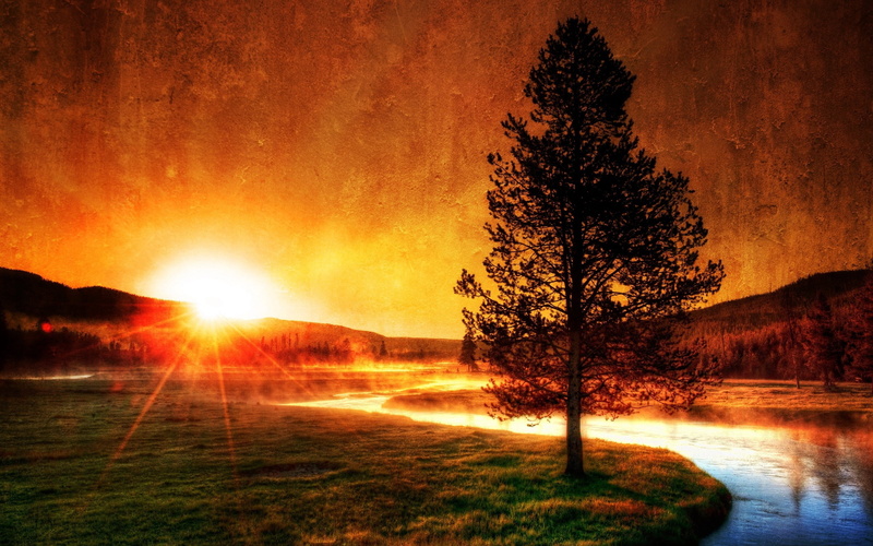 scenics, autumn, no People, sun, forest, plant, colors, non-Urban Scene, golden, river, nature, woodland, light - Natural Phenomenon, land, 2K, sunlight