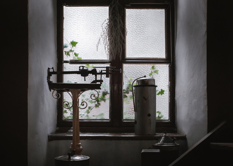 near, banister, house, sink, kitchen, vase, plant, scale, blossom, home, no people, domestic room, pharmacy, window, bonsai, built structure, household equipment