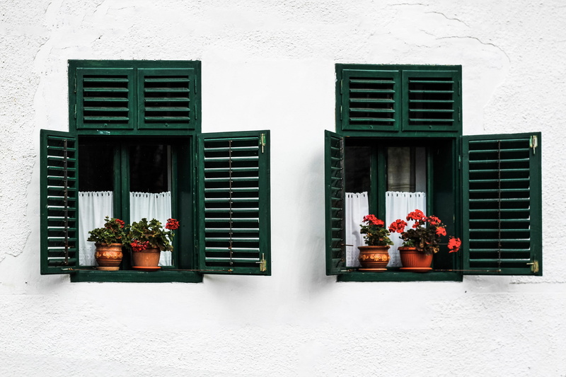 opened, built structure, growth, pottery, windows, curtain, vase, nature, building exterior, green, potted plant, plant, house, wall - building feature