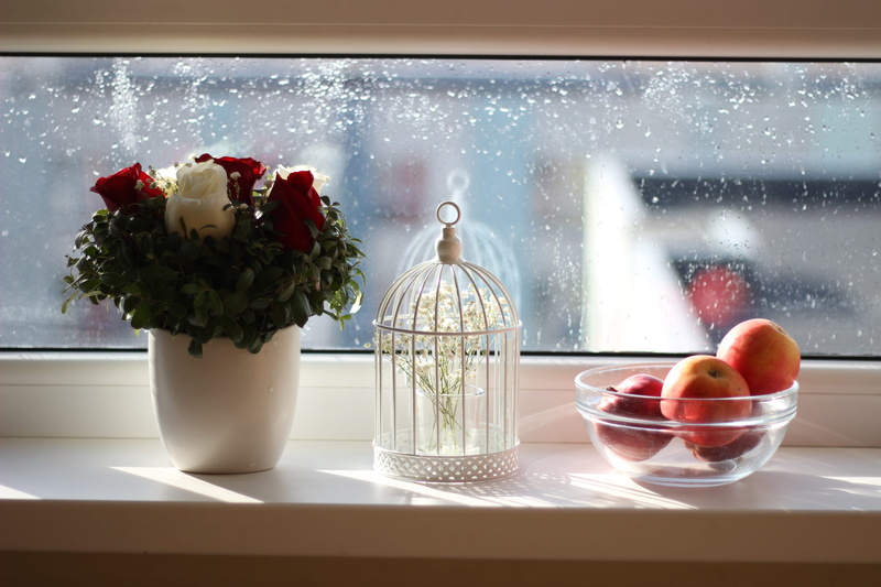 indoors, apples, roses, home, glass items, day, daylight, birdcage, freshness, window, bouquet, flowers, cup, no people, healthy eating, nature, bowl, table