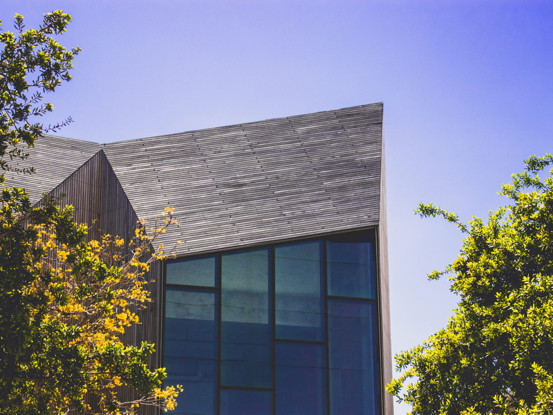 leaf, united state, home decor, 5K, city, door, residential district, bird, miami, green, architecture, miami design district, sky, beside, corner, growth