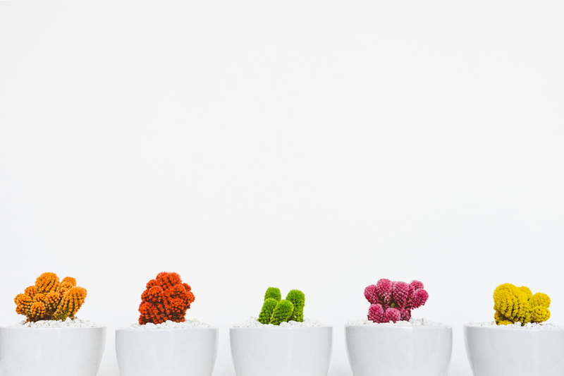 artistic, bunch of flowers, botanical, cacti, plants, beauty in nature, flora, indoors, bonsai, summer, flowering plant, design, red, wood, choice, food