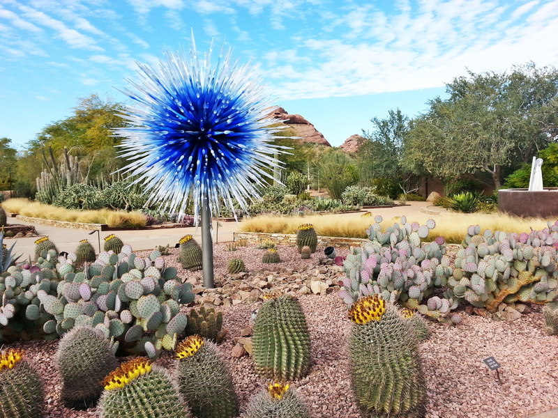 plant, flower head, chihuly exhibit, cacti, vulnerability, 2K, no people, day, cactus, cloud - sky, beauty in nature, succulent plant, dry, gardens, freshness