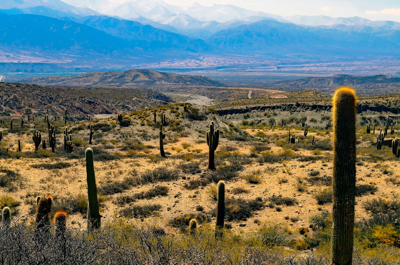 hdr, snow, country, mountain range, scenics, arid climate, desolate, non-urban scene, animals in the wild, scenics - nature, no people, countryside, day