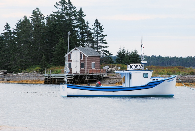 built structure, outdoors, town, no people, plant, picturesque, transportation, cloud - sky, coniferous tree, day, water, boat, architecture, ocean, mode of transportation
