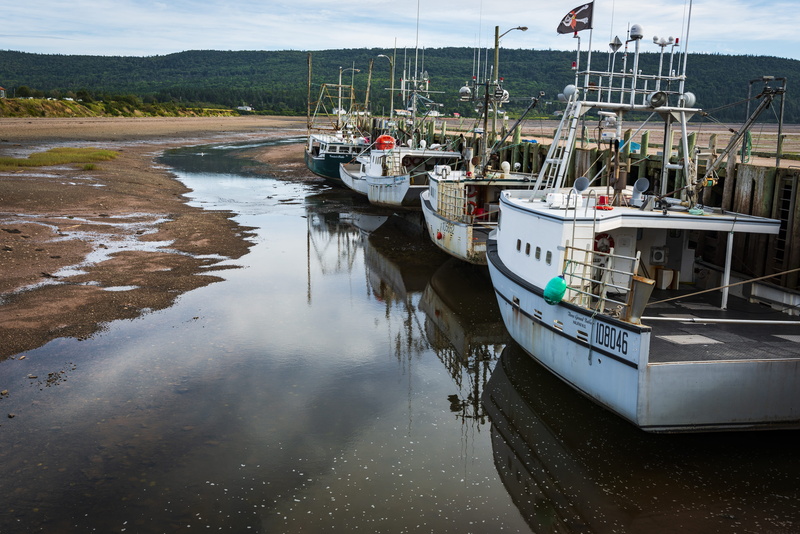 white, anchored, advocate harbour, marina, water, outdoors, nature, waterfront, grey, mast, fishing boat, 5K, day, sailboat, four, harbor, fishing, port