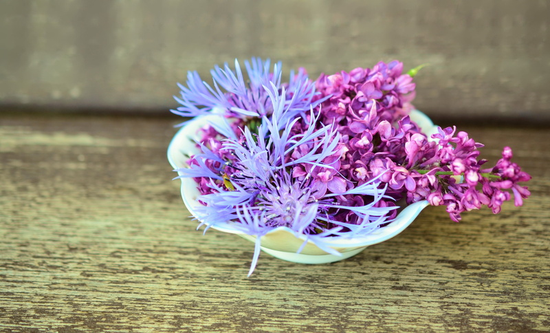 beauty In Nature, springtime, vase, wood - Material, flower Head, scented, plant, focus on foreground, green Color, close-up, indoors, flowers, flower