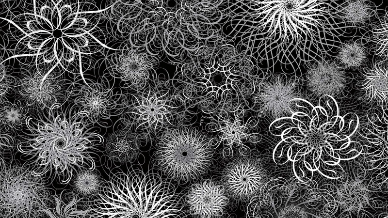 plant, nature, pattern, thorn, 1080P, high angle view, field, growth, land, spiky, full frame, backgrounds, succulent plant, outdoors, no people, barrel cactus