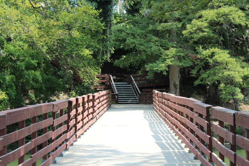 wood - material, kerrville, guadalupe, river trail, connection, railing, architecture, no people, texas, direction, built structure, forest, diminishing perspective