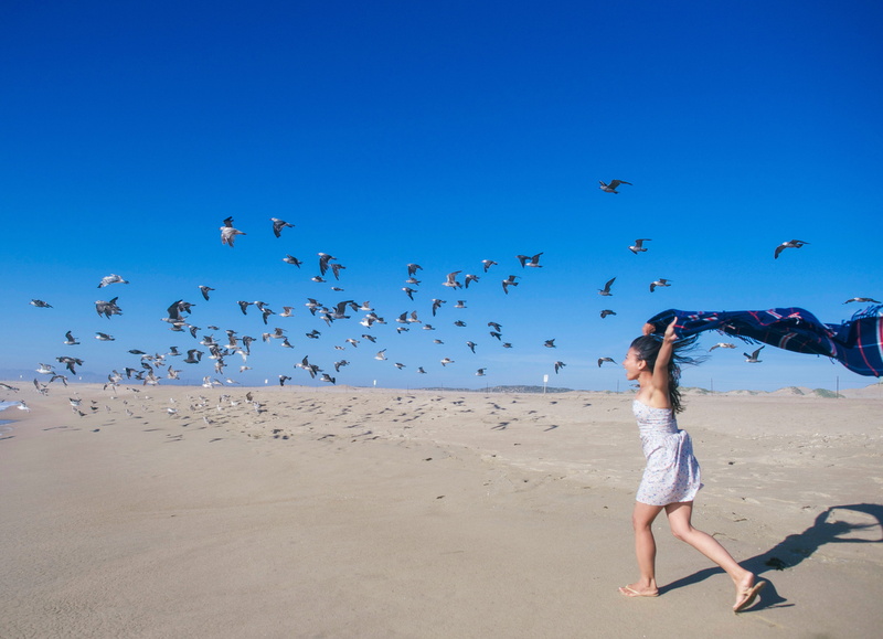 one person, guadalupe, real people, animals in the wild, group of animals, large group of animals, flying, land, clear sky, run, sky, 4K, bird, joy, beach