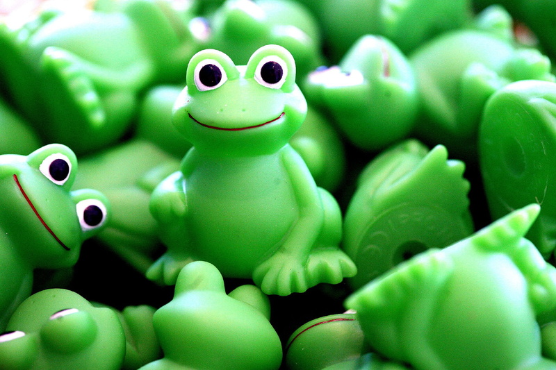 Zooomr, lot, plastic, 1080P, frog, toy, Work, animal, green Color, sapo, f25, photo, green