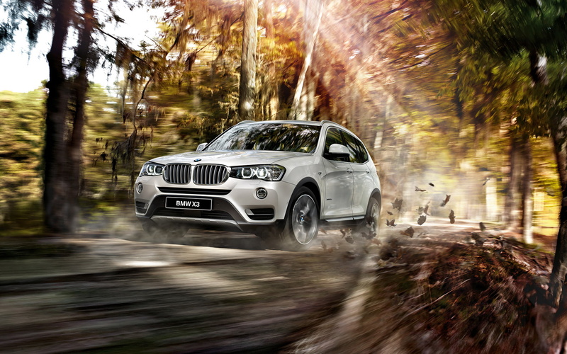 wet, land, transportation, BMW, land vehicle, plant, water, mode of transportation, nature, blurred motion, sunlight, outdoors, F25, road, motion, forest