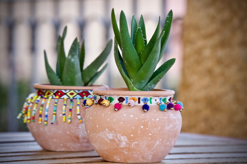 cactus, plant, garden, wood - material, succulents, fat plants, food and drink, easter egg, botany, potted plant, hawortia, succulent plant, table, beads