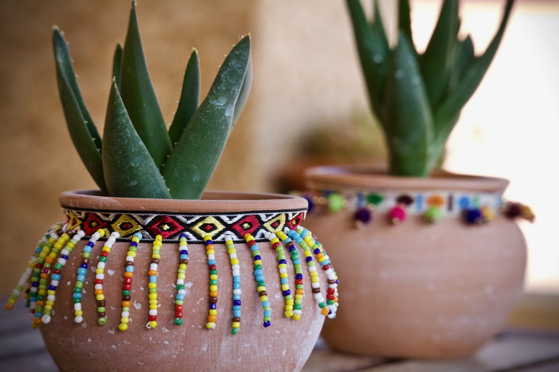 succulent plant, no people, terrace, cactus, ornament, indoors, day, easter, terracotta vase, succulents, furniture, food and drink, botany, fat plants