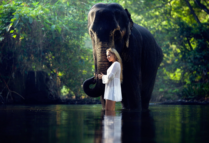 Mood, Women, Reflection, Woman, 1080P, Elephant, Blonde