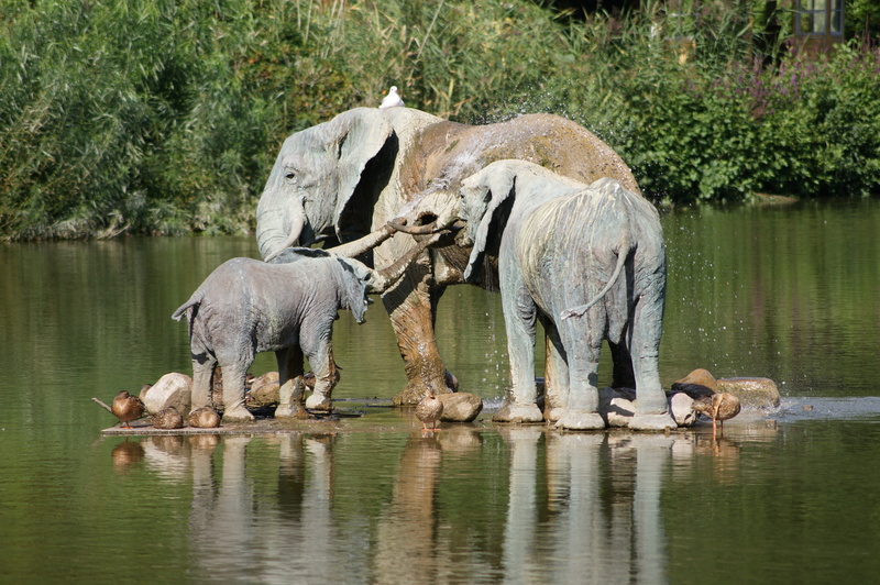 elephants, drink, sculpture, water, river, elephant, three, waterfront, day, reflection, tree, nature, knuthenborg, group of animals, animals, plant, no people