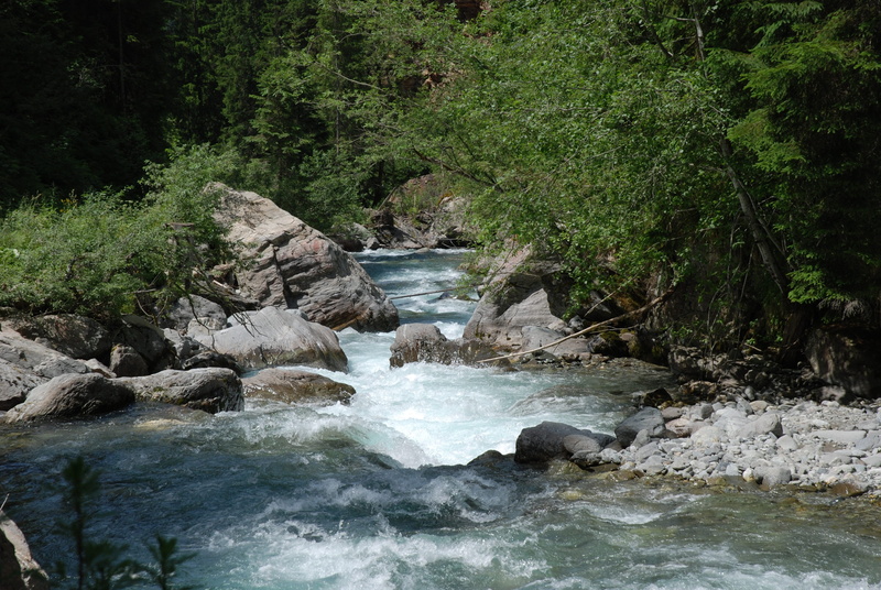 outdoors, scenics - nature, flowing, environment, waters, beauty in nature, land, no people, plant, flowing water, rock, 4K, rock - object, growth, tree
