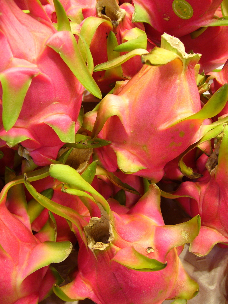 2K, dragon fruit, flower head, inflorescence, beauty in nature, flower, red, no people, exotic cactus greenhouse, vulnerability, black seeds, flowering plant