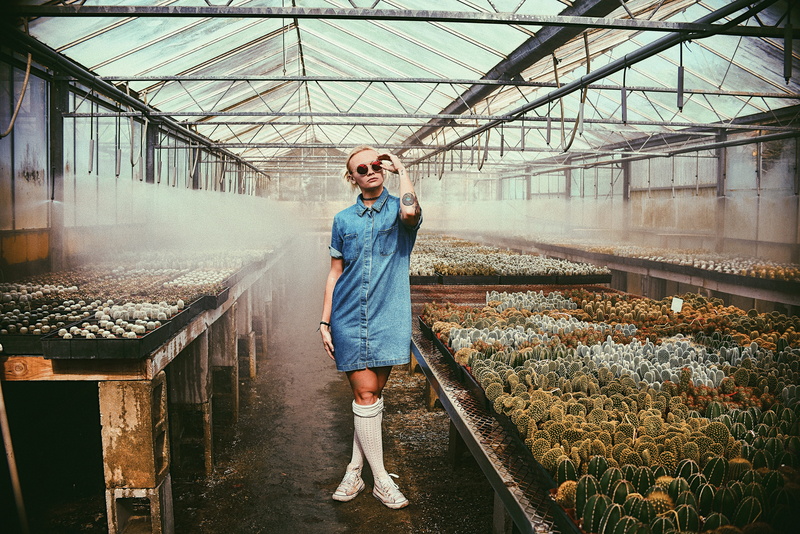 farmer, lady, nursery, lifestyles, adult, gardening, woman, green Color, denim, organic, vegetable, cheerful, succulent, occupation, conservatory, garden Center