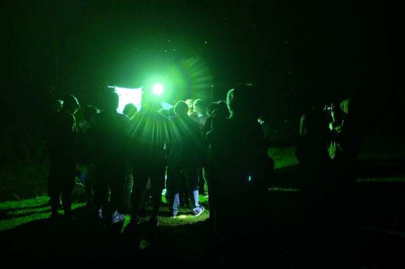 illuminated, fun, human, popular music concert, concert, adult, light, disco, leisure activity, standing, real people, flare, lighting, club, rock concert