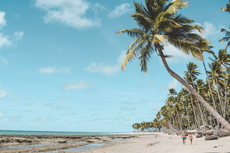 sand, palm, green, palm tree, growth, scenics - nature, woman, land, tranquil scene, cloud - sky, water, tropical tree, cloud, real people, trees, coqueiro