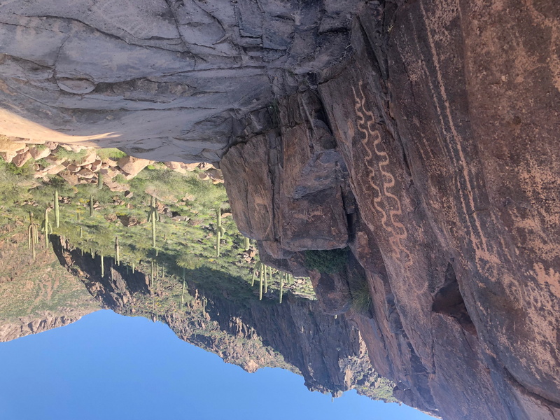 physical geography, formation, native american, 4K, scenics - nature, canyon, hieroglyphic trail, rock formation, no people, plateau, cactus, promontory