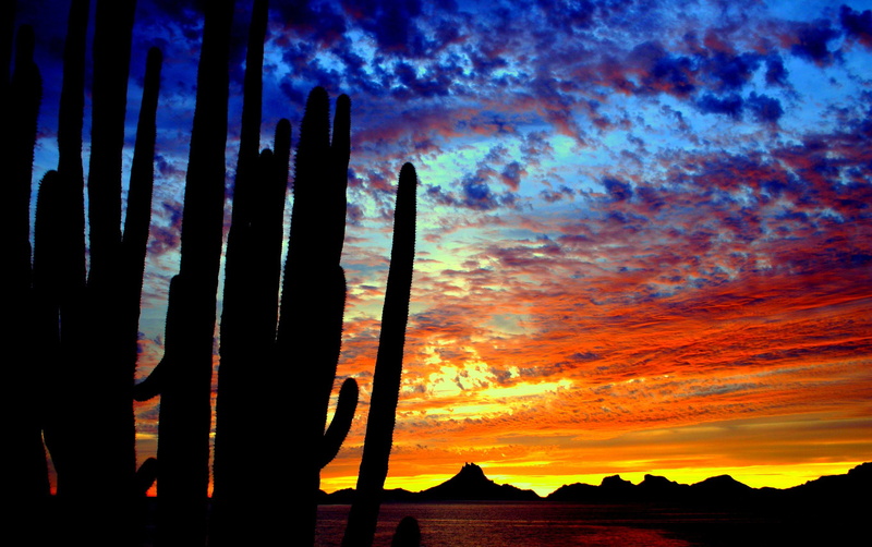 hills, colorful, landscape, clouds, 2K, silhouette, desert, nature, evening, cactus, sunset