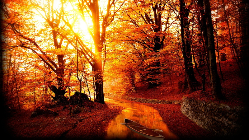 deciduous, 4K, autumn, colors, tree, river, woodland, boat, branch, sunlight, leaves, nature, forest