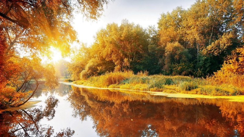 deciduous, sky, morning, sunlight, pond, tree, reflection, 1080P, leaf, water, river, sunrise, autumn, colorful, reflected, waterway, bank, colors