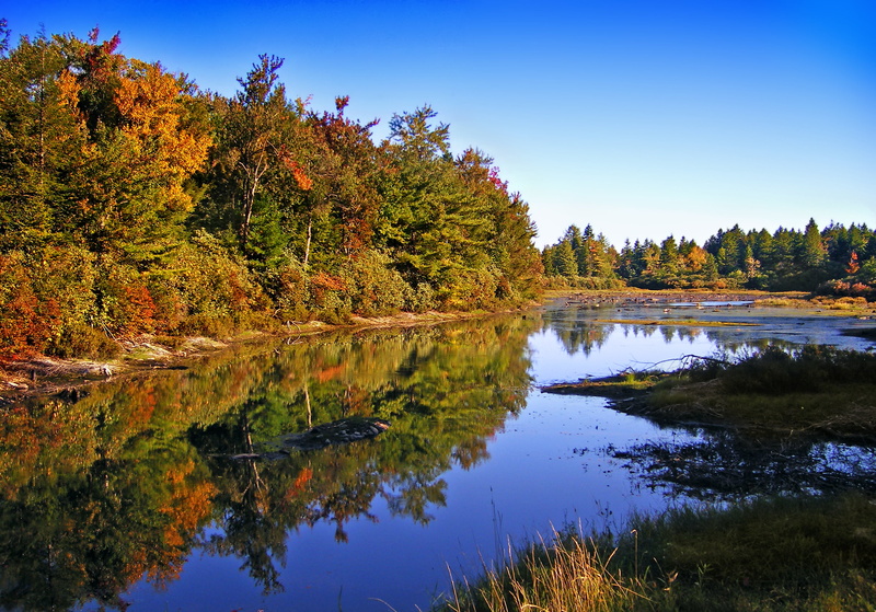 autumn, State Game Lands, Poconos, Monroe County, North America, Nature Conservancy, body of water, Preserve, trees, body, hiking, scenics, sky, tree, lake