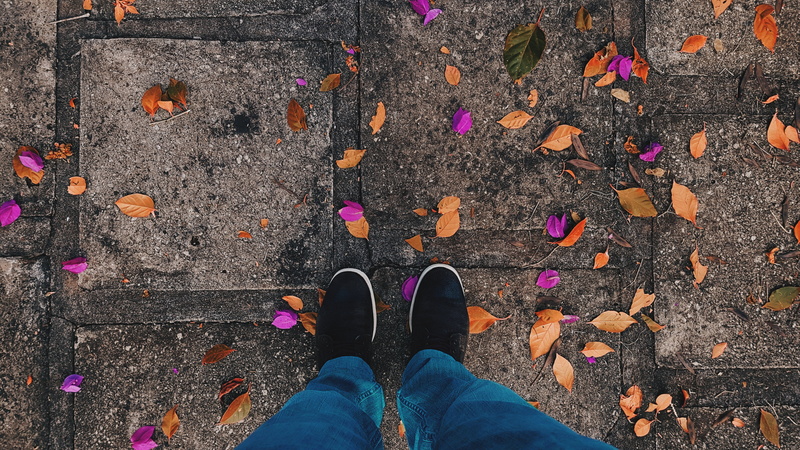 feet, leaf, leaves, 4K, standing, shoes, flower, plant, low section, high angle view, fallen, human limb, nature, leisure activity, outdoors, one person