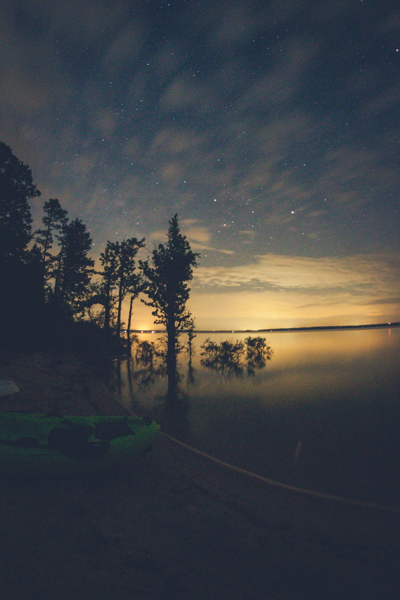 north bend park and campground, 2K, idyllic, nature, boydton, road, silhouette, scenics - nature, beauty in nature, star, growth, astronomy, tranquility
