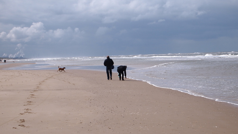 walking, two people, grabs, clouds, imminent, domestic animals, steps, bend over, animal themes, coastline, air, one animal, doggy, outdoors, beach, dog