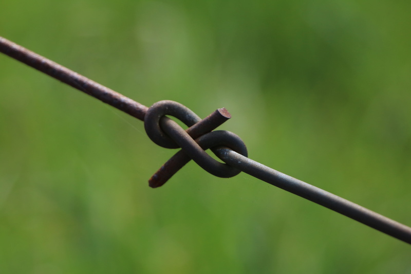 Wire, strong, enclose, strength, sharp, Tie The Knot, no people, link, privacy, outdoors, chain, danger, nature, day, boundary, protection, barbed wire