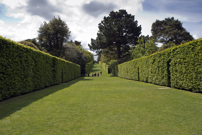 hedge, tranquil scene, garden, garden path, sky, Hidcote Manor Garden, outdoors, beauty in nature, agriculture, topiary, avenue, nature, treelined, manor